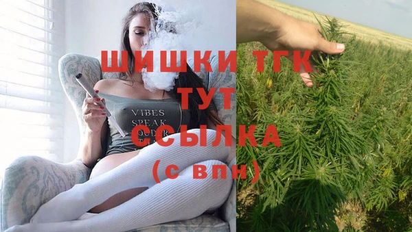 spice Кинешма