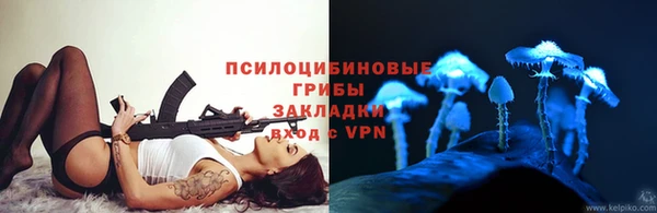 spice Кинешма