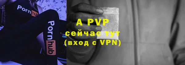 стафф Киреевск
