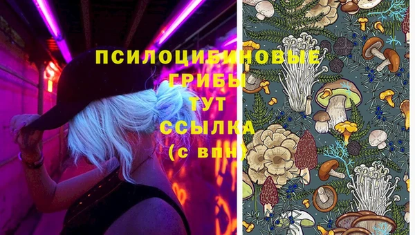 стафф Киреевск