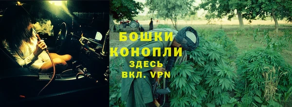 стафф Киреевск