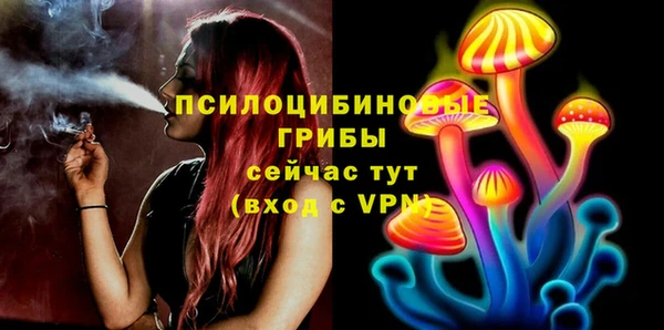 spice Кинешма